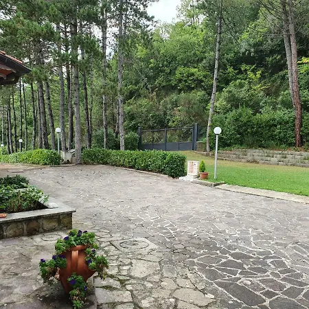 Pernici